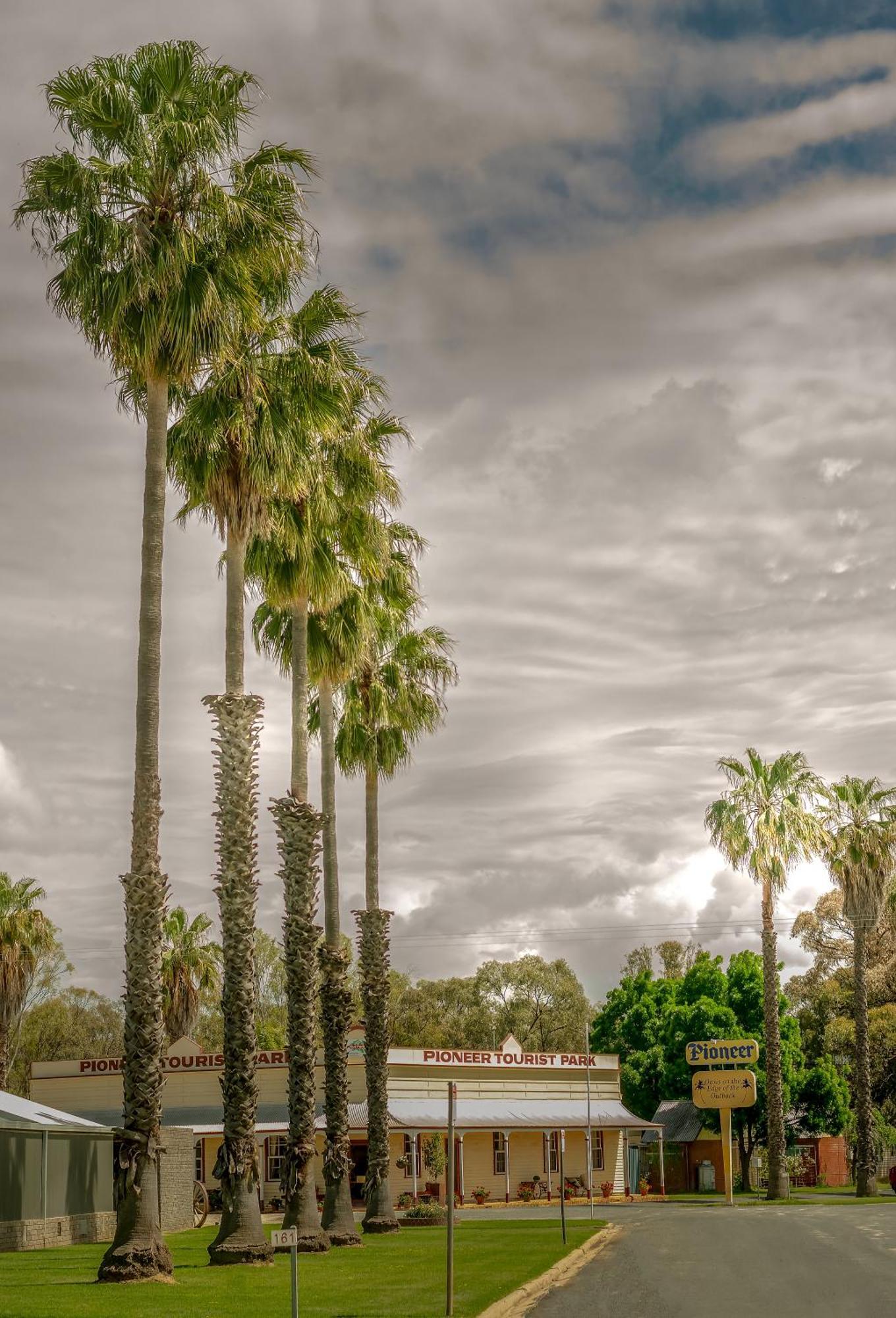 Pioneer Tourist Park Hotel Deniliquin Bagian luar foto