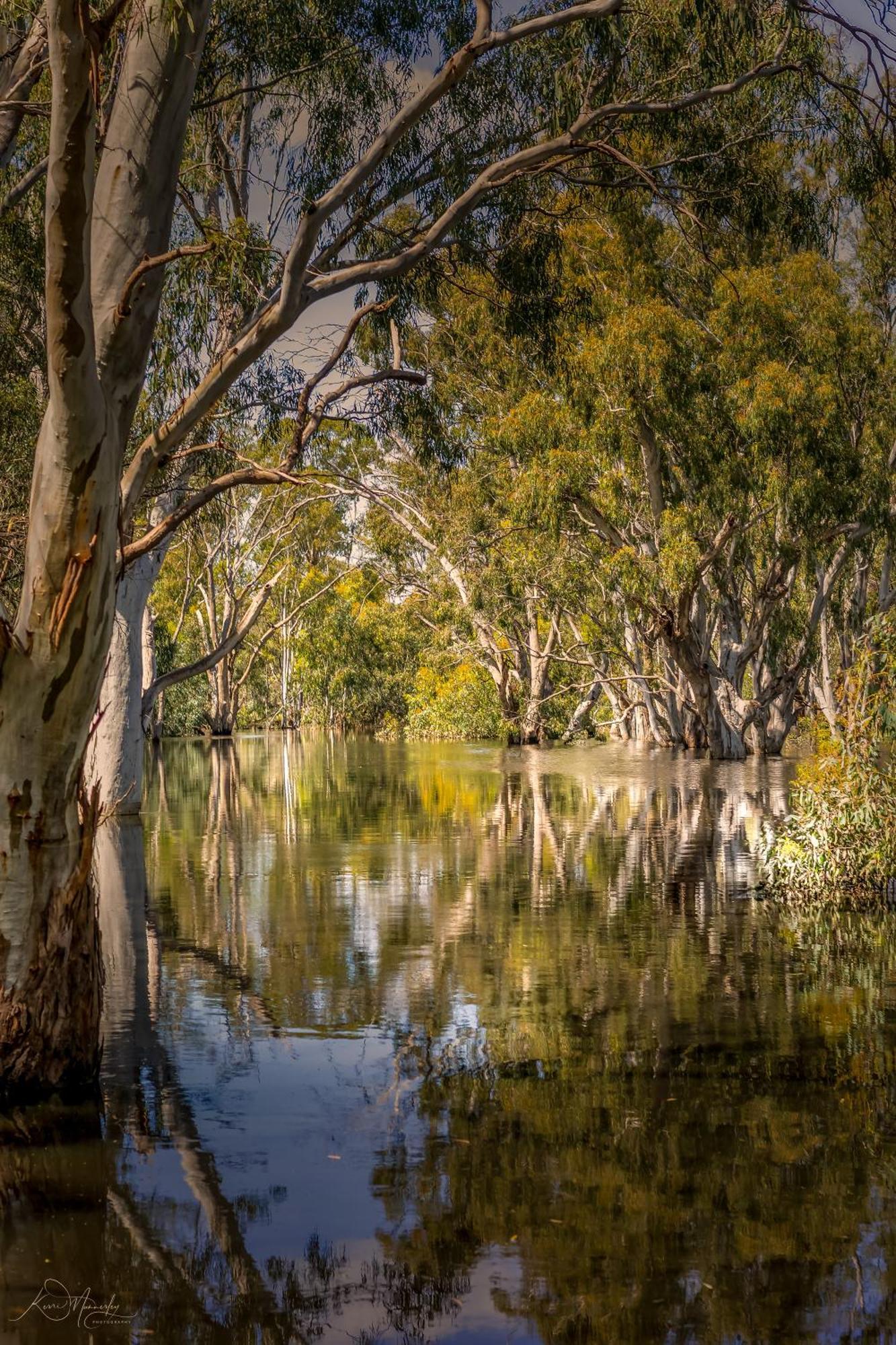 Pioneer Tourist Park Hotel Deniliquin Bagian luar foto